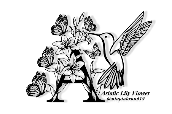 Discover the Elegance of Asiatic Lily Flower Monogram