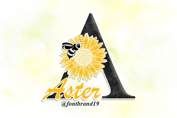 Enhance Your Web Design with Aster Flower Monogram Font